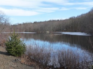 Southboro Real Estate, Southborough Homes for Sale,Selling Your Southboro Home