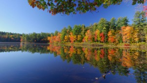 Westboro MA Scenic View in the Fall