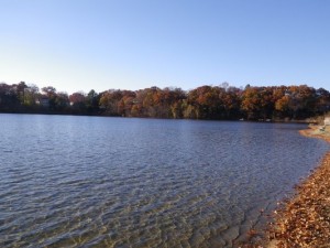 Parks Framingham MA