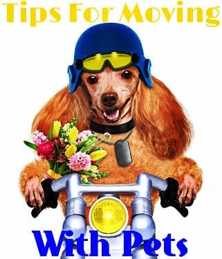 Pet Moving Services