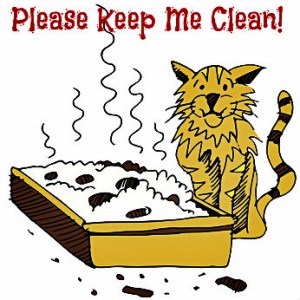 Cat Litter Box Odors